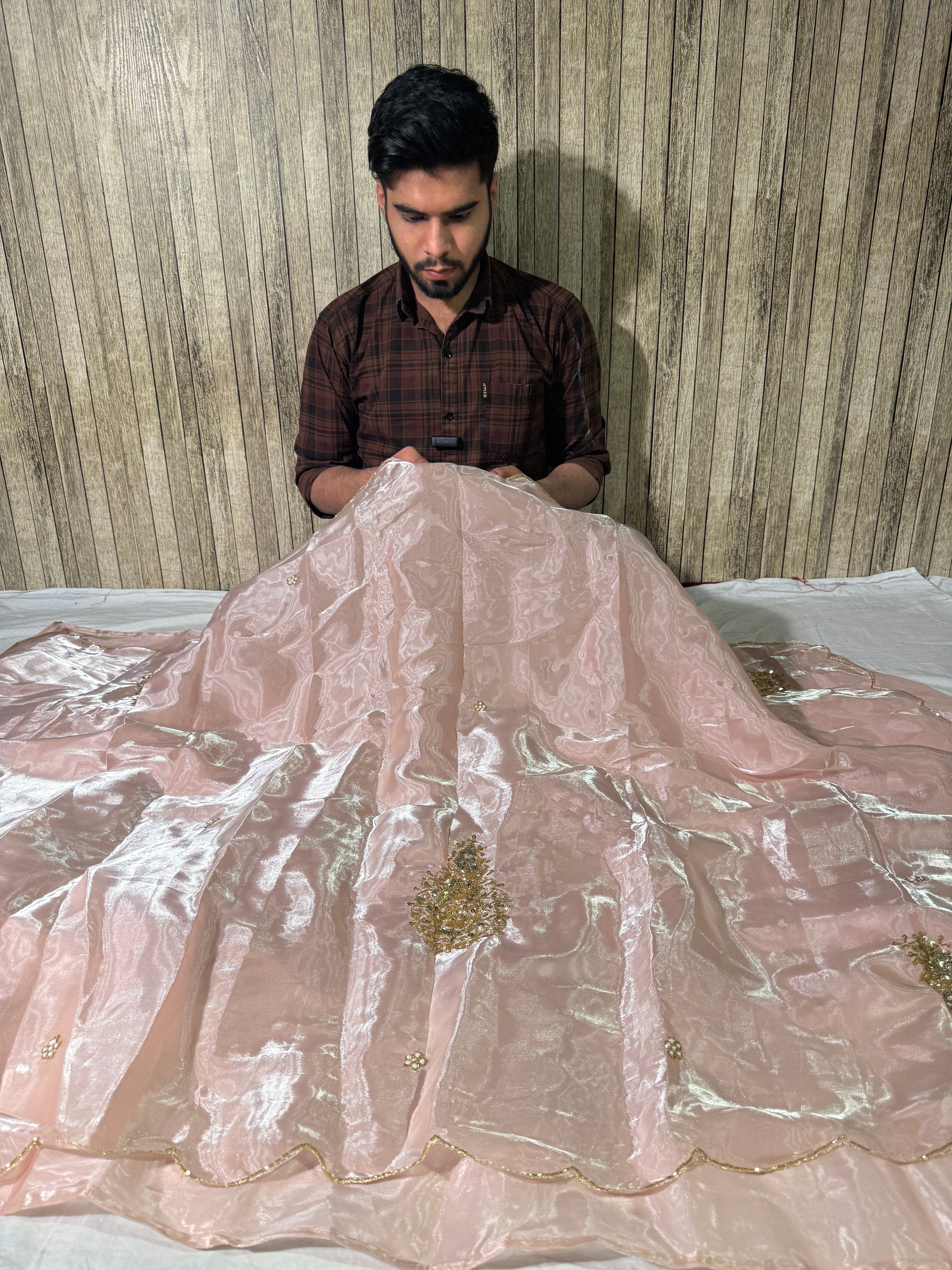 Pastel Pink Premium Shimmery Tissue Handwork Saree