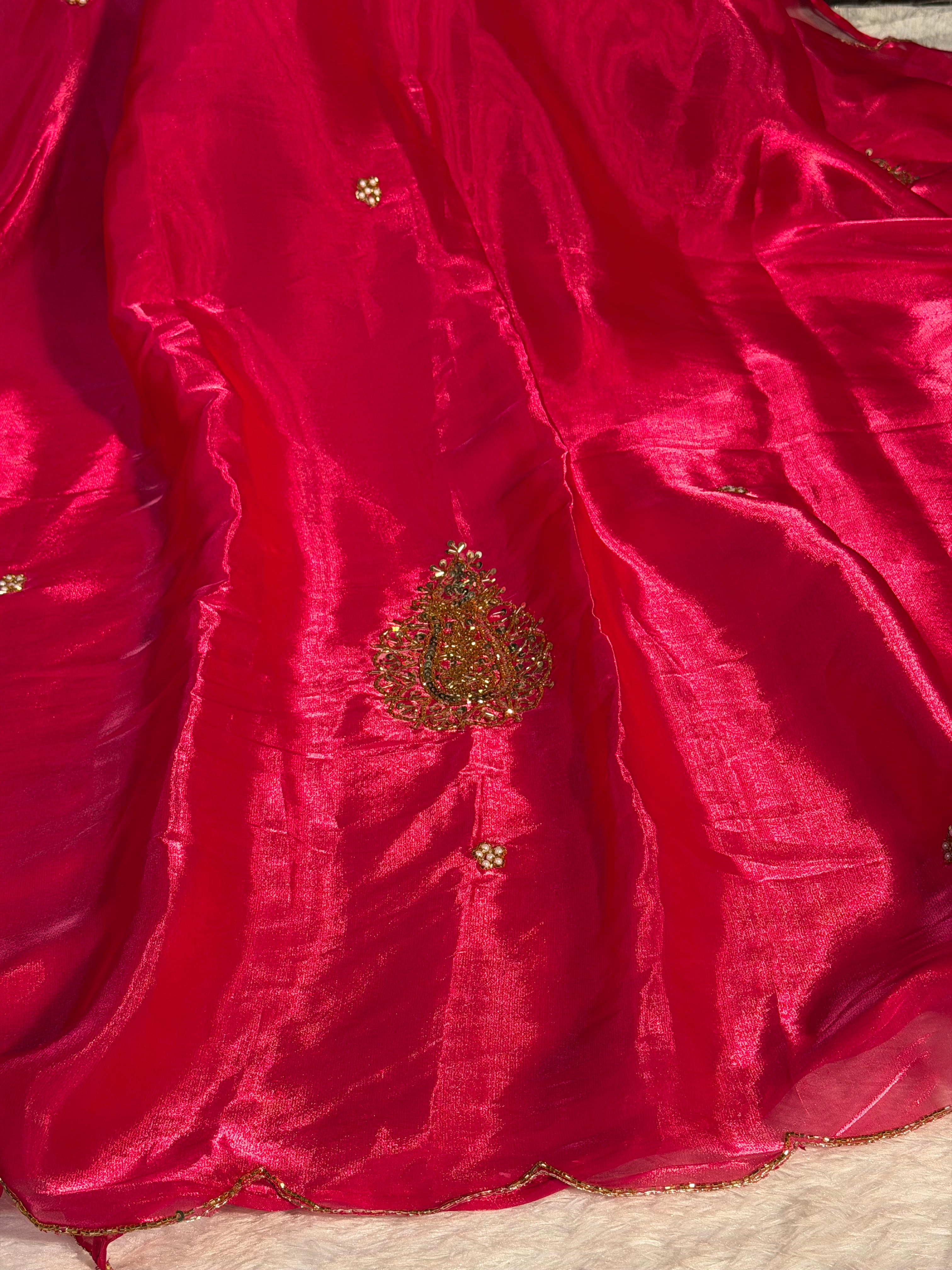 Bridal Rani Pink Premium Shimmery Tissue Handwork Saree