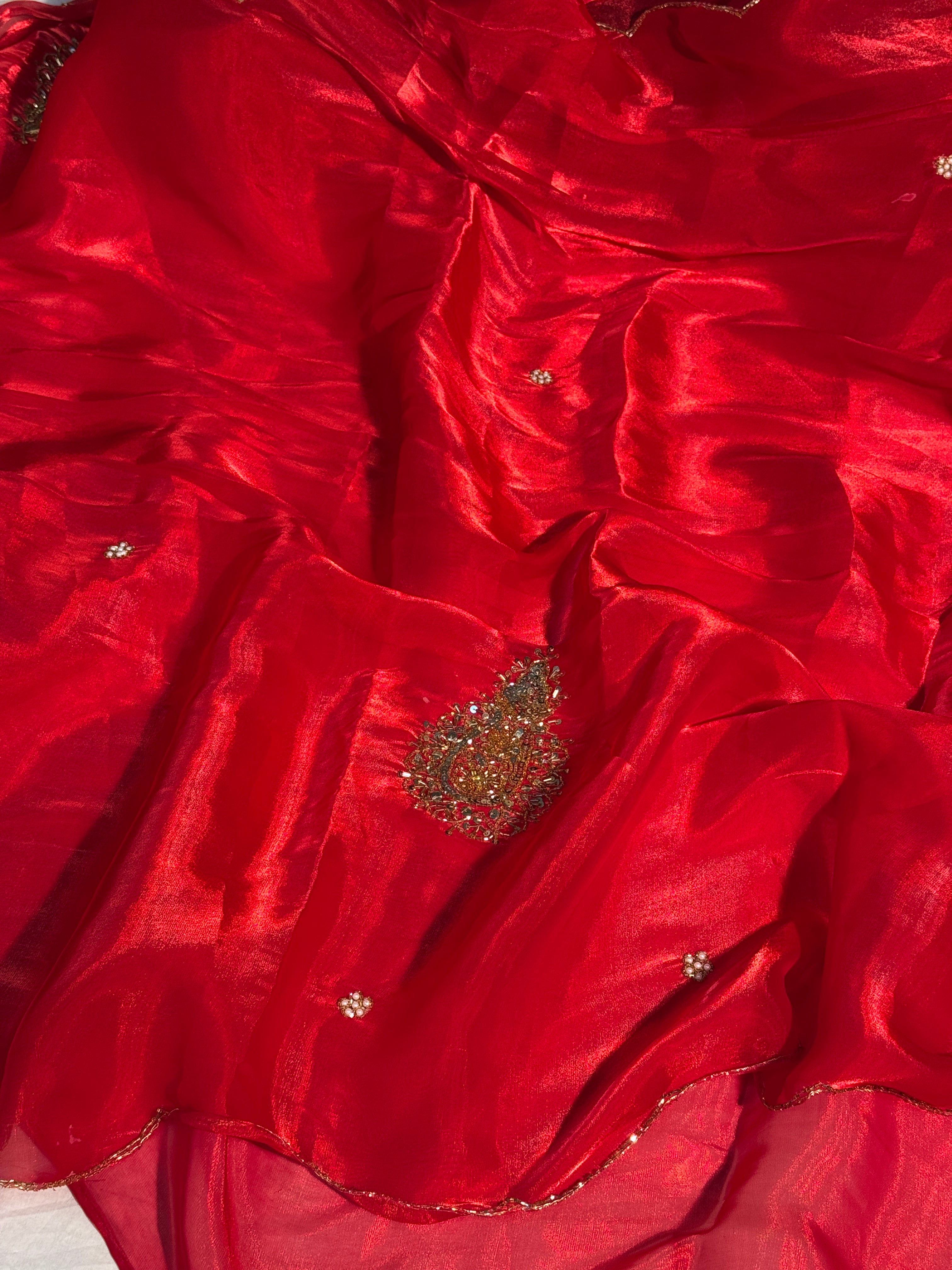 Bridal Red Premium Shimmery Tissue Handwork Saree