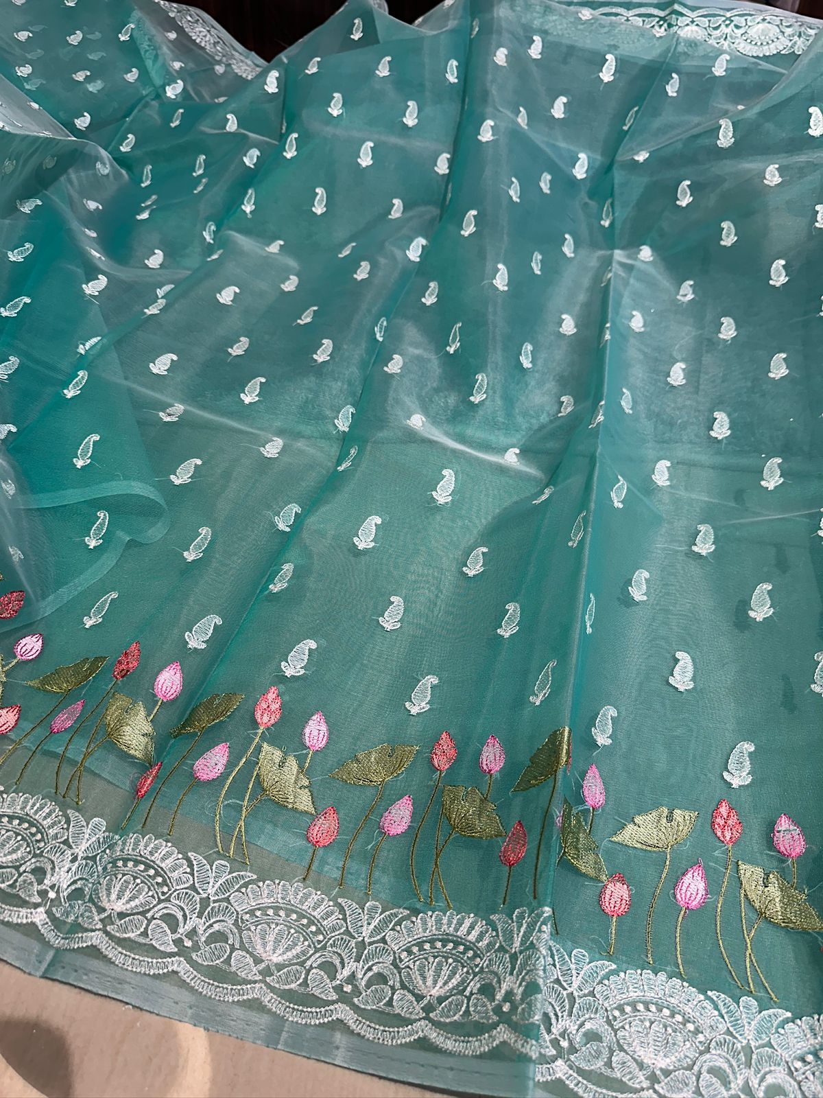 Pastel Seagreen Designer Chikankari Organza Banarasi Saree
