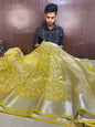 Beautiful Designer Chikankari Organza Banarasi Saree