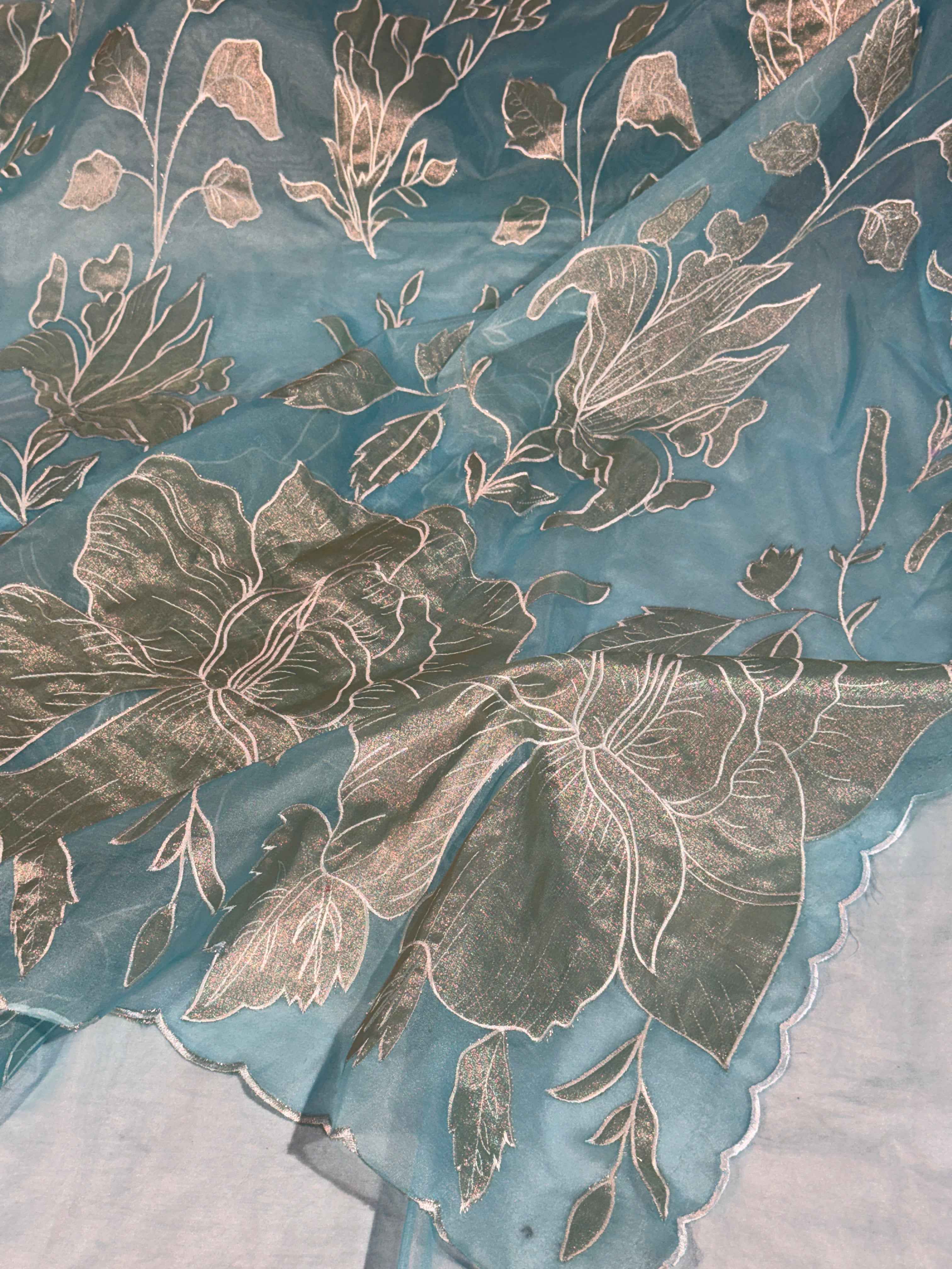 Pastel Firozi Premium Organza Silk Banarasi Saree with Tissue Applique Work
