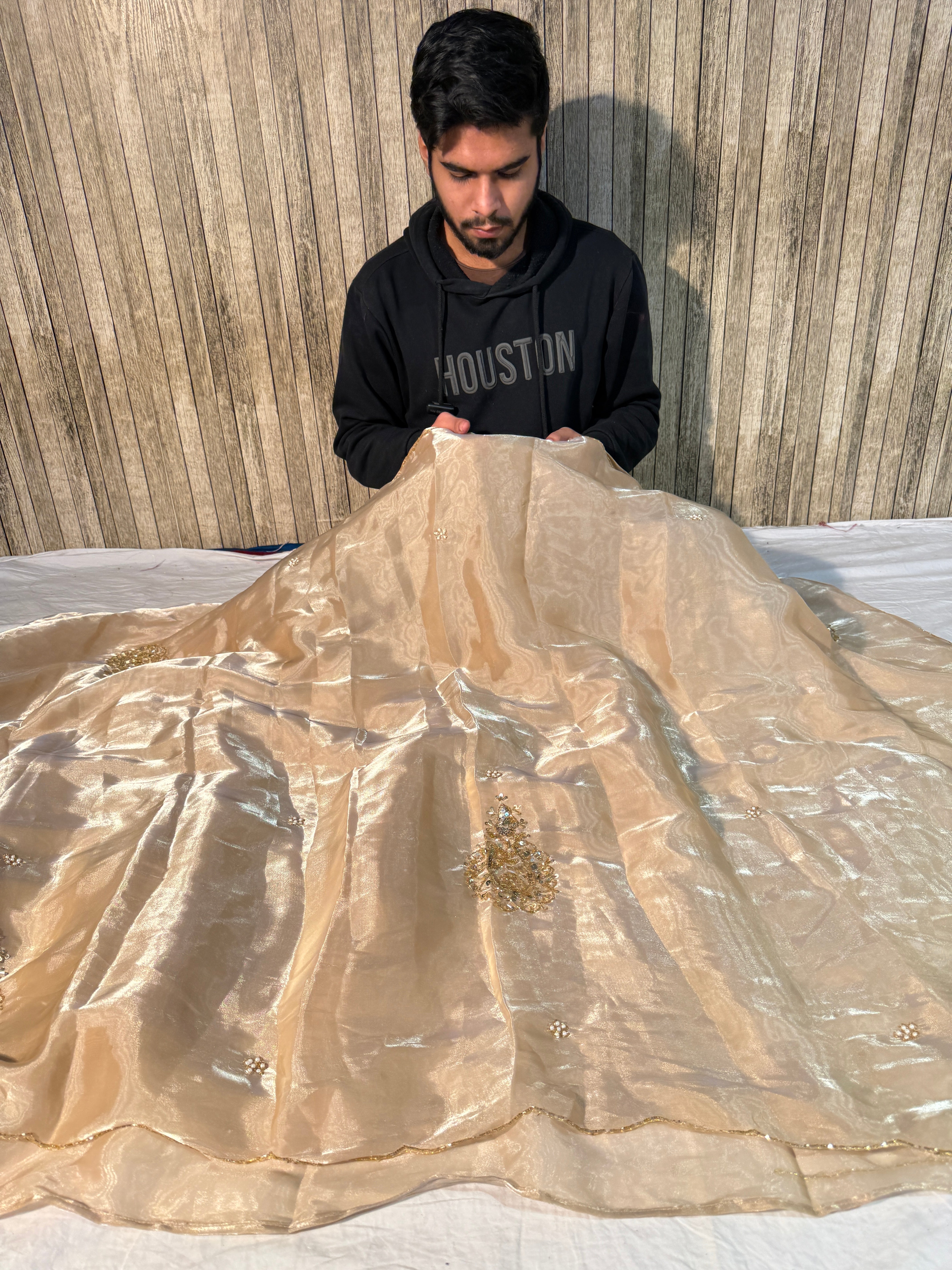 Ivory Shade Premium Shimmery Tissue Silk Handwork Saree