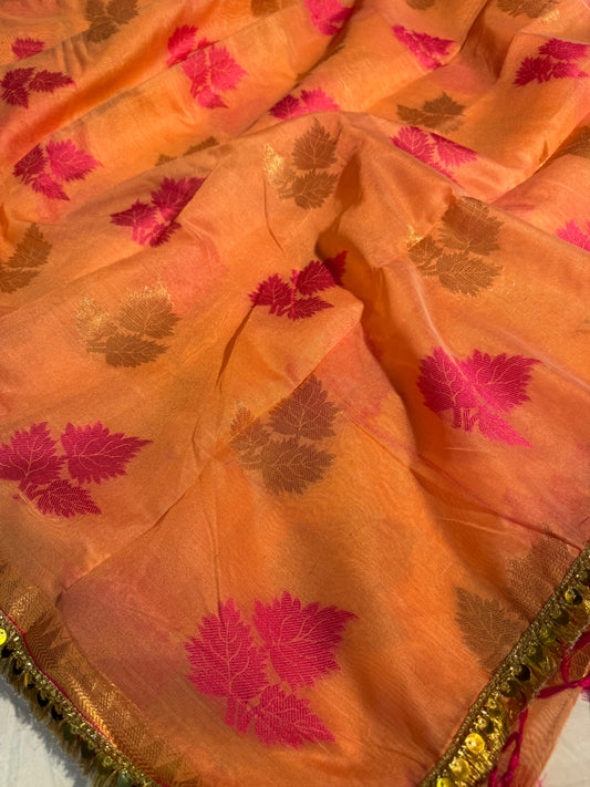 Premium Banarasi Soft Silk Saree