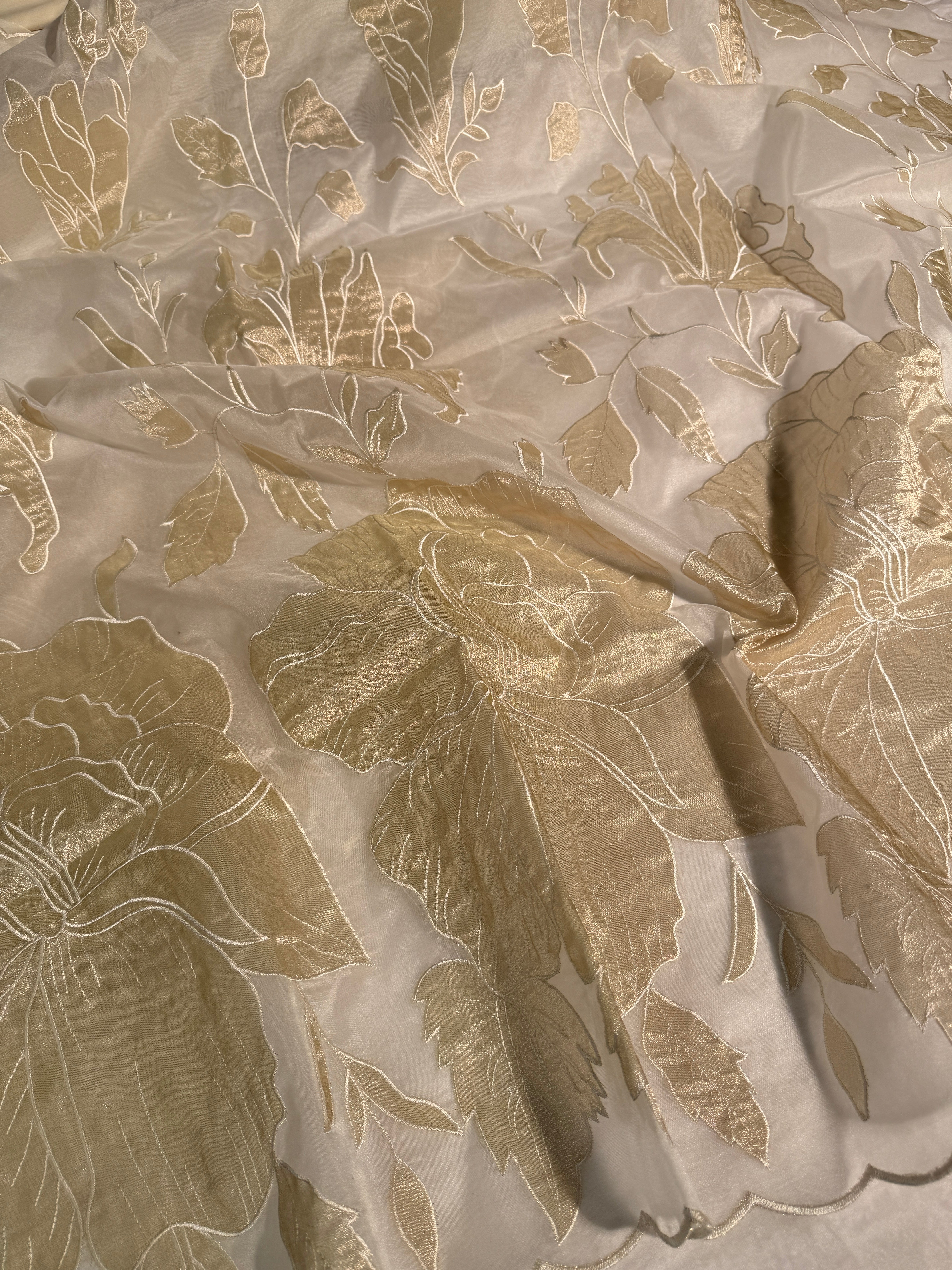White Premium Organza Silk Banarasi Saree with Tissue Applique Work