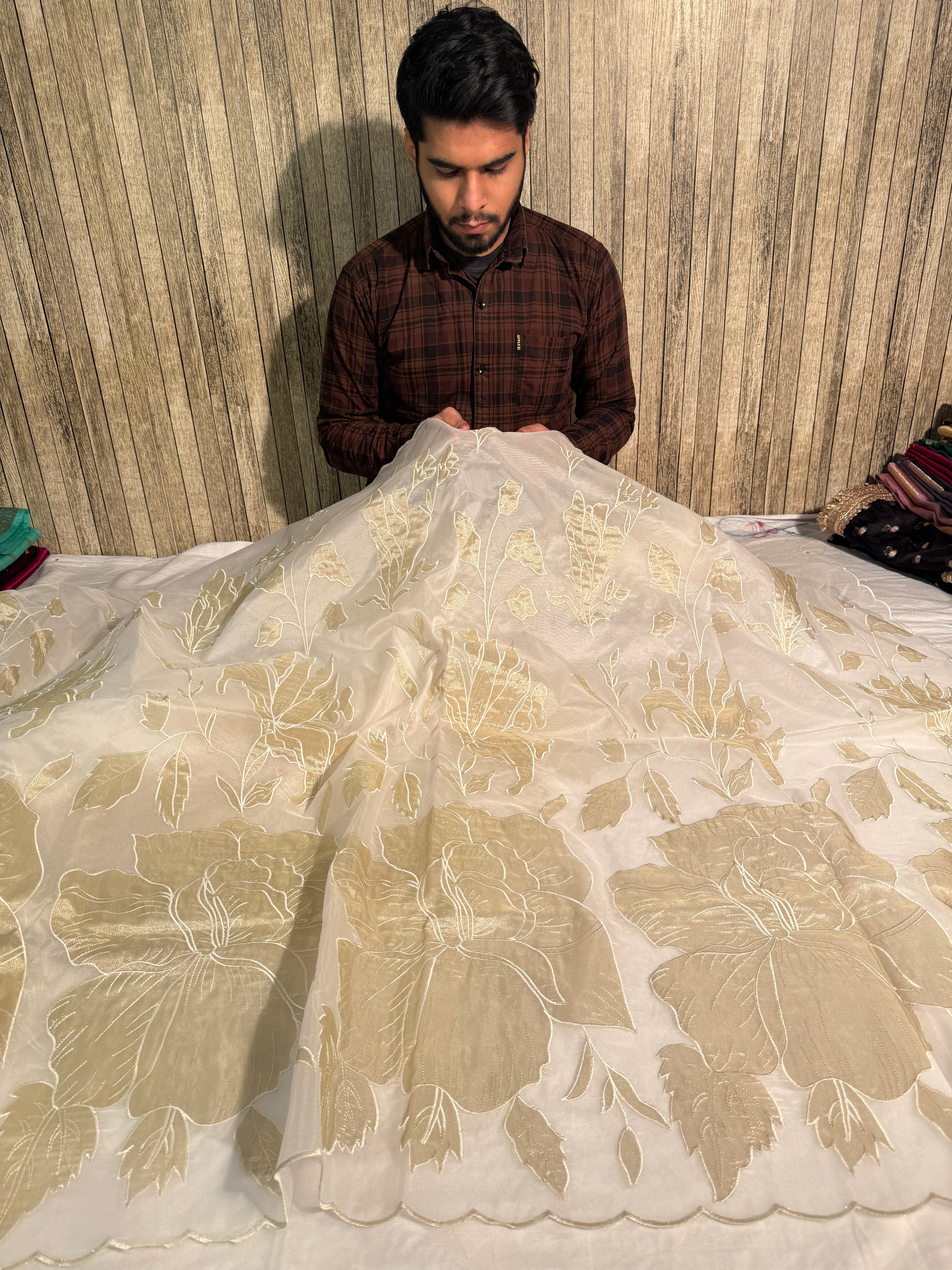 White Premium Organza Silk Banarasi Saree with Tissue Applique Work