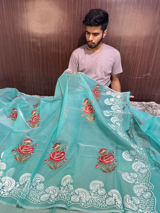 Pastel Seagreen Designer Chikankari Organza Banarasi Saree