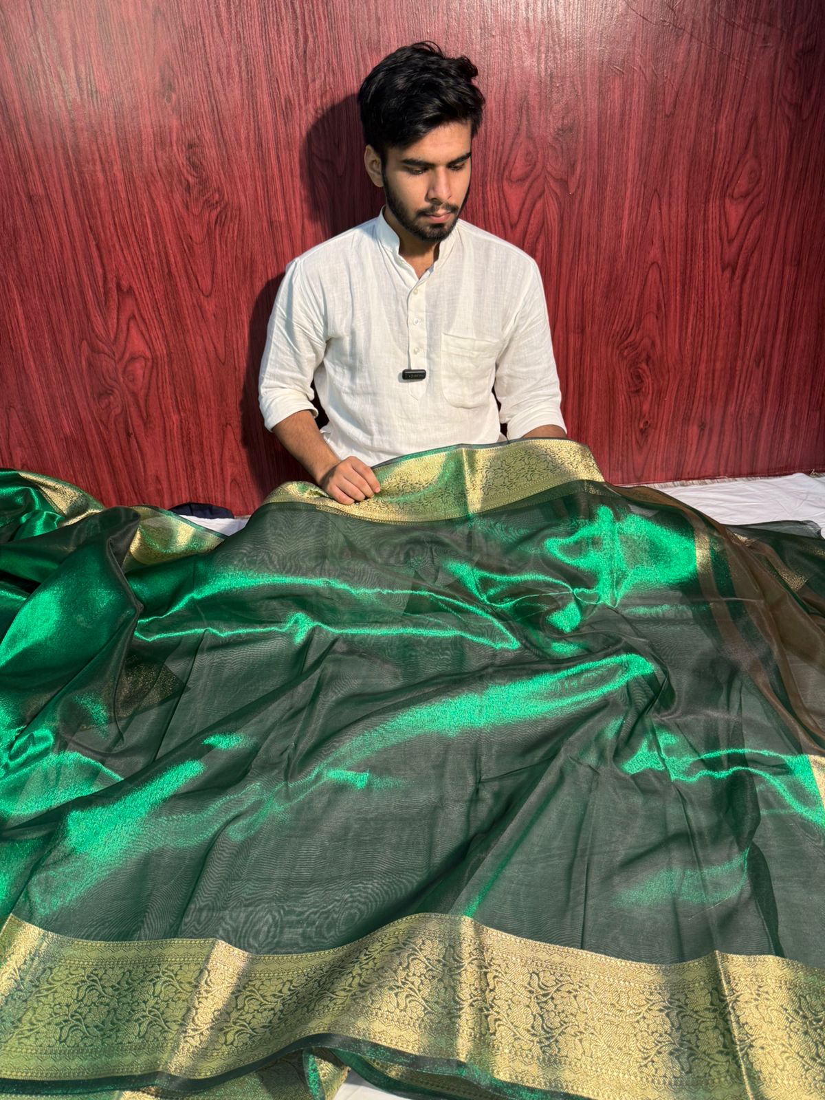 Metallic Green Premium Tissue Silk Saree with Traditional Weave Borders