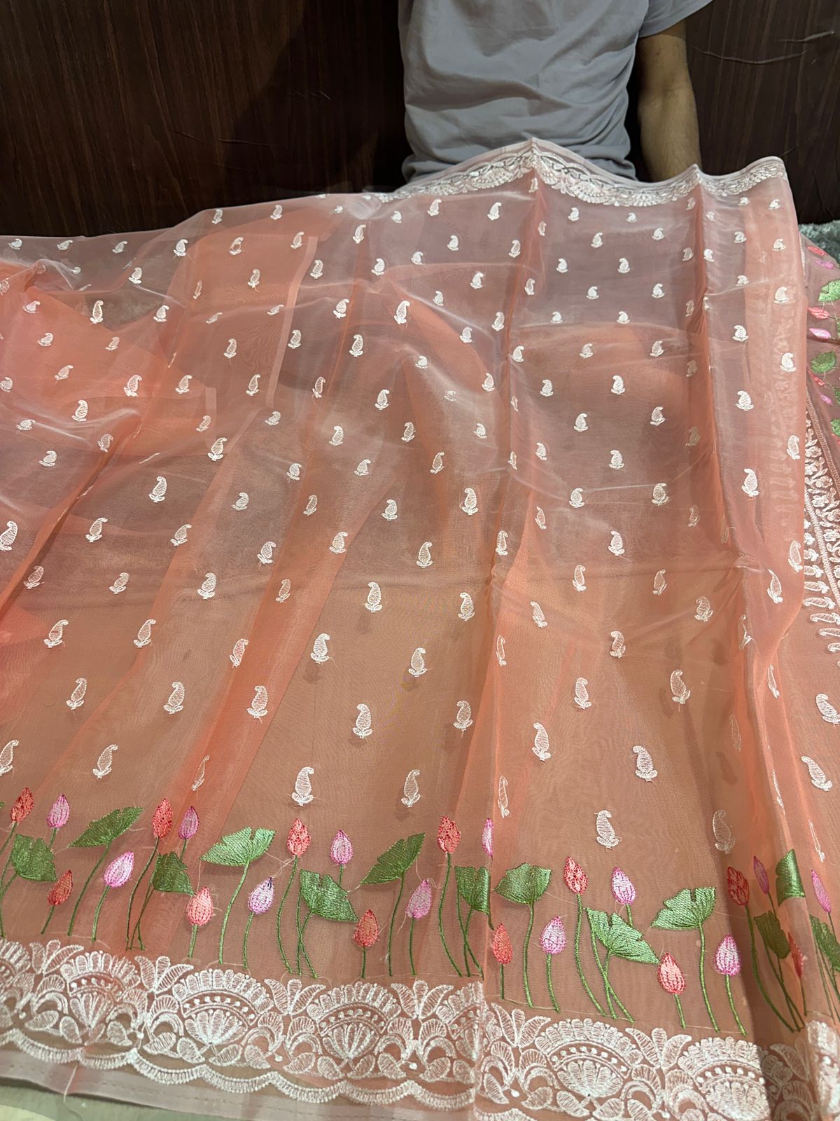 Masterpiece Designer Chikankari Organza Banarasi Saree