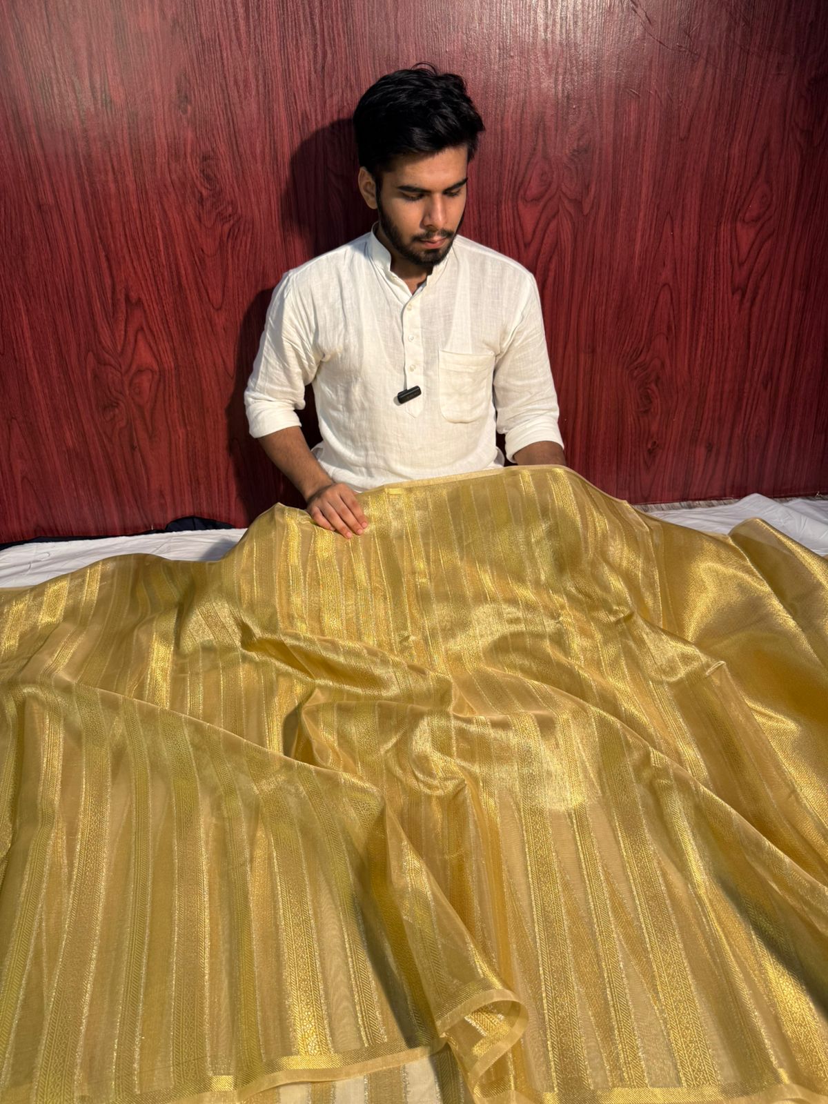 Allover Gold Zari Premium Tissue Silk Designer Saree