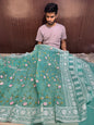 Masterpiece Designer Chikankari Organza Banarasi Saree